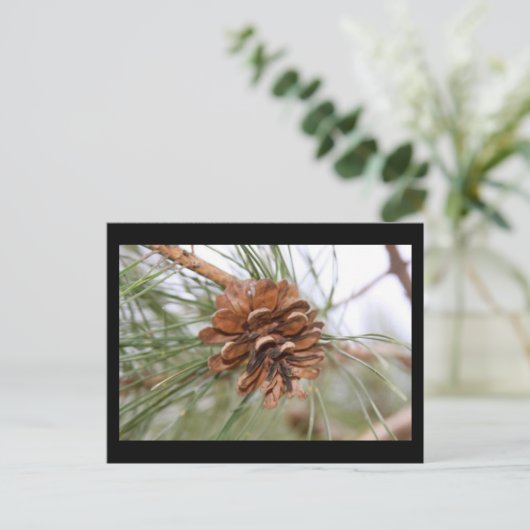 Denneappel Briefkaart (Staand voorkant)