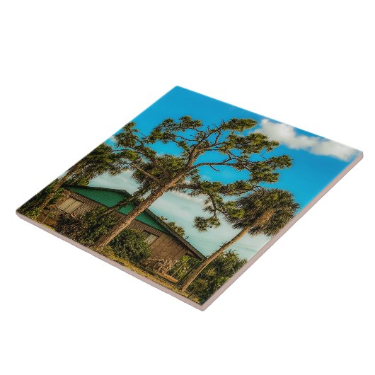 Dennen- en palmbomen tegeltje (Zijkant)