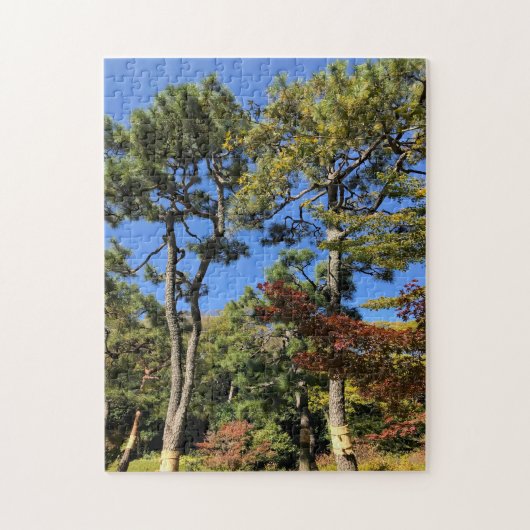 Dennen op een herfstige hemel legpuzzel (Verticaal)