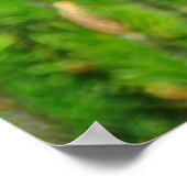 Dennenappel Goudbruine Fijnkunst Fotoprint Poster (Hoek)
