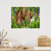 Dennenappel Goudbruine Fijnkunst Fotoprint Poster (Keuken)