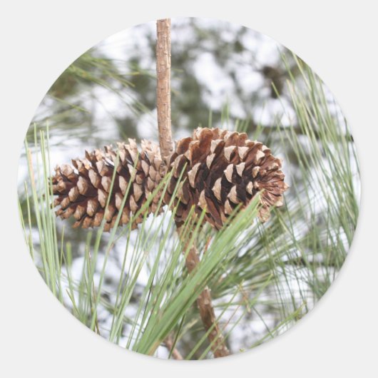 dennenappel stickers (Voorkant)