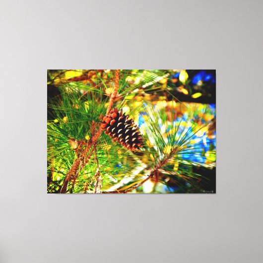 Dennenappel Tussen Groene Naalden Canvas Afdruk (Voorkant)