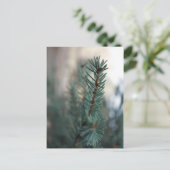 Dennenbomen Briefkaart (Staand voorkant)