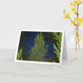 Dennenbomen 's Nachts Kaart (Gele Bloem)