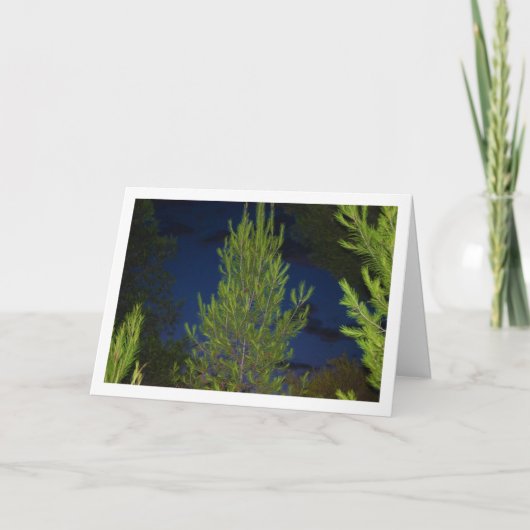 Dennenbomen 's Nachts Kaart (Voorkant)