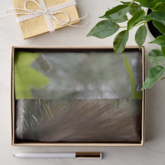 dennenboom eekhoorn tissuepapier (Geschenk)