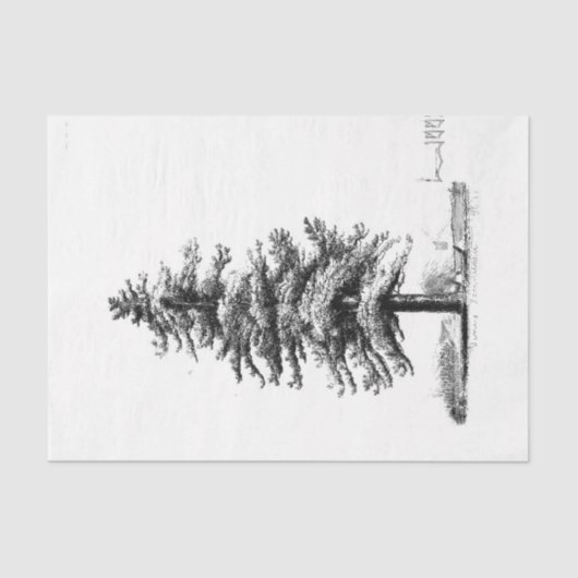 dennenboom Ephemera Decoupage Tissuepapier (Voorkant)