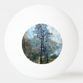 DENNENBOOM PINGPONGBAL (Achterkant)