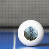 DENNENBOOM PINGPONGBAL (Net)