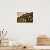 dennenboom schoonheidsfoto poster (Keuken)