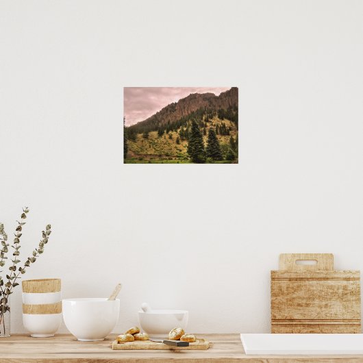 dennenboom schoonheidsfoto poster (Keuken)