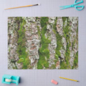 dennenboomschors met mos-tissuepapier tissuepapier (Craft)