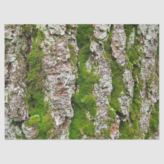 dennenboomschors met mos-tissuepapier tissuepapier (Voorkant)