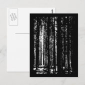 dennenbos briefkaart (Voorkant / Achterkant)