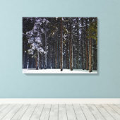 dennenbos met sneeuw-Cyprus Canvas Afdruk (Insitu (Houten vloer))