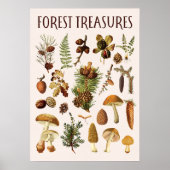  dennenbos schatten Grafiek Wall Art Poster (Voorkant)