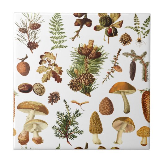  dennenbos schatten naadloos patroon tegeltje (Voorkant)