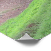 Dennenbosweg Poster (Hoek)