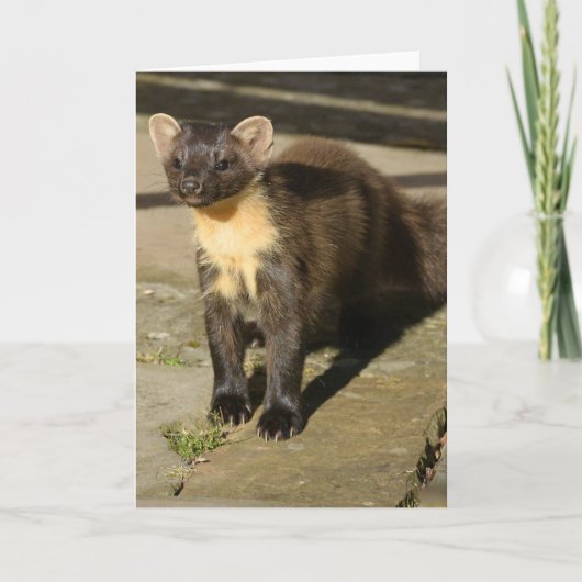 dennenmergkaart kaart (Voorkant)