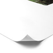 Dennis Miller Bunker is de pool, Medfield Poster (Hoek)