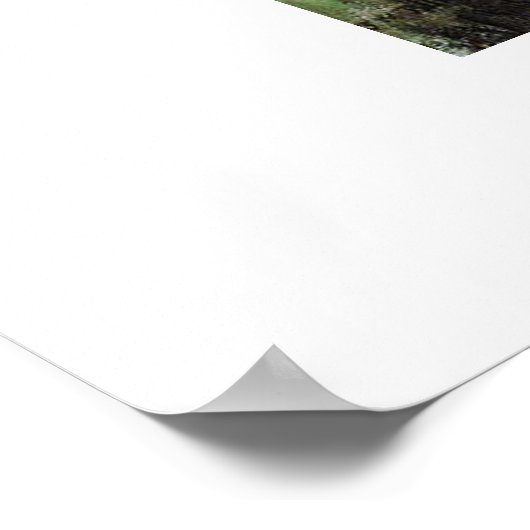 Dennis Miller Bunker is de pool, Medfield Poster (Hoek)