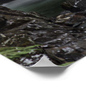 Denny Creek Poster (Hoek)