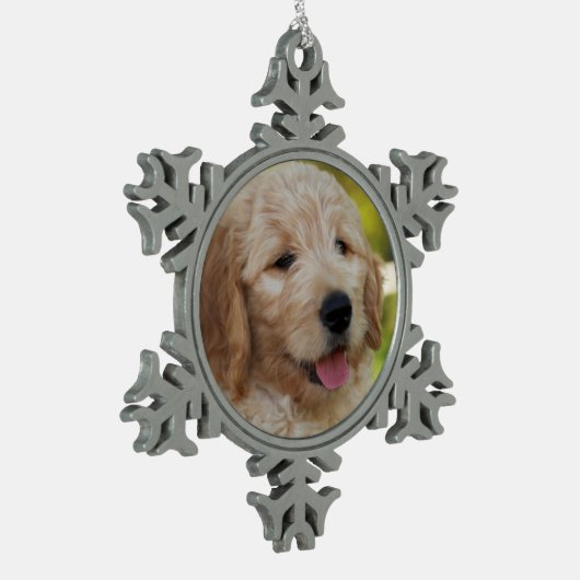 Denny Ornament (Links)