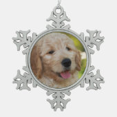Denny Ornament (Voorkant)