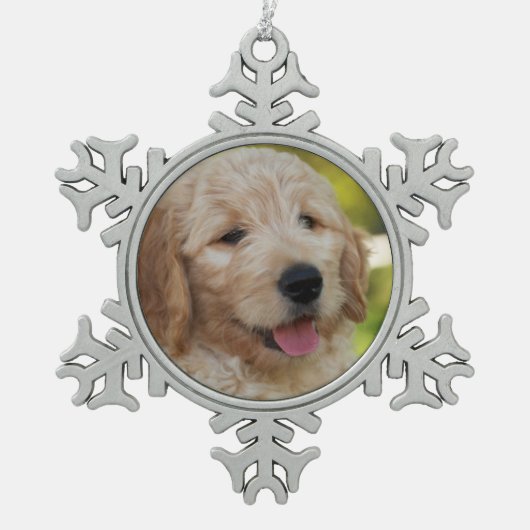 Denny Ornament (Voorkant)
