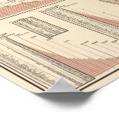 Denominatiestatistieken Poster (Hoek)