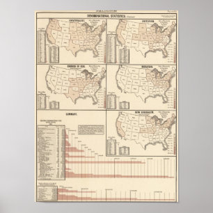denominatiestatistieken Verenigde Staten Poster