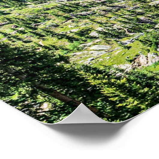 Dense Forest Background // Ski Resort Runs Poster (Hoek)