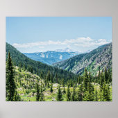 Dense Forest Background // Ski Resort Runs Poster (Voorkant)