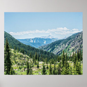 Dense Forest Background // Ski Resort Runs Poster