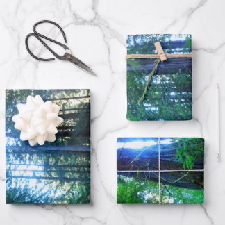 Dense Oerwoud Decorative Decoupage High Quality WR Inpakpapier Vel