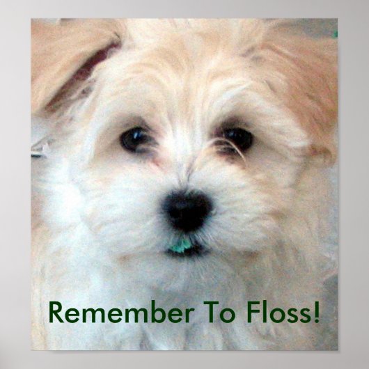 Dental Hygiene Floss Puppy Poster (Voorkant)