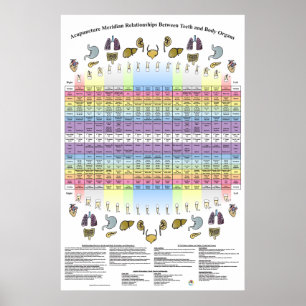 Dental Teeth Acupunction Health Poster