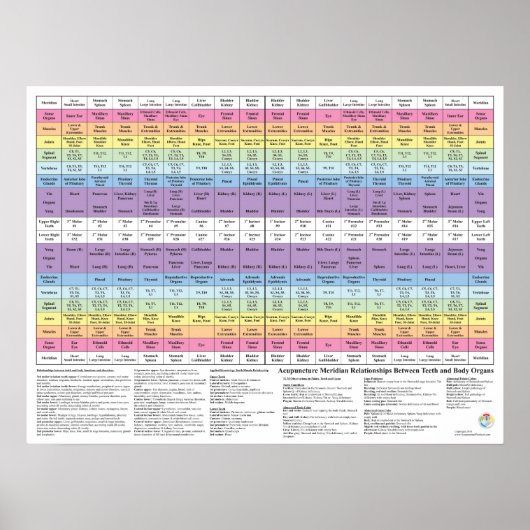 Dental Tooth Acupunction Meridian Health Chart Poster (Voorkant)