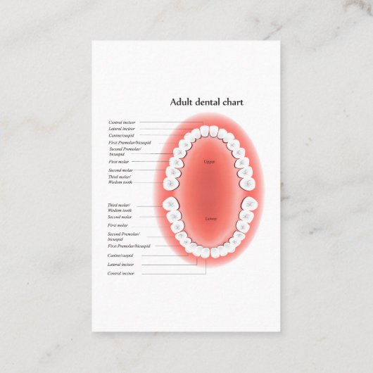 Dentist Appointment And Tooth Chart Busines Visitekaartje (Achterkant)