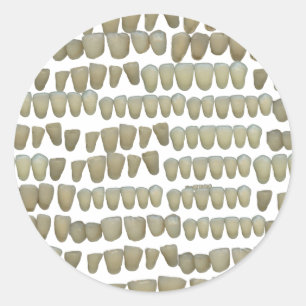 DENTIST DENTISTRY ORTHODONTICS ROTTEN TEETH MOUTH RONDE STICKER