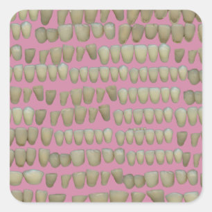 DENTIST DENTISTRY ORTHODONTICS ROTTEN TEETH MOUTH VIERKANTE STICKER