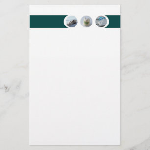 Dentist Stationery Briefpapier