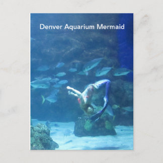 Denver Aquarium Mermaid Briefkaart