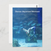 Denver Aquarium Mermaid Briefkaart (Voorkant / Achterkant)