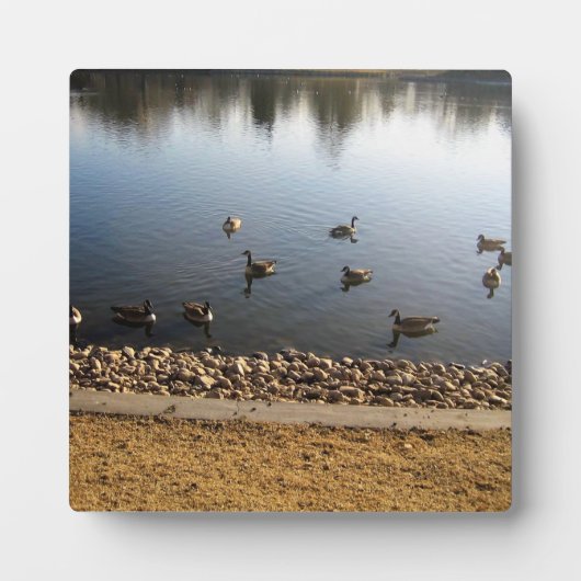 Denver City Park, Denver, Colorado Fotoplaat (Voorkant)