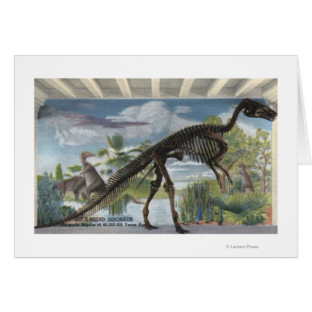 Denver, Colorado - Museum of Natural History (Voorkant Horizontaal)