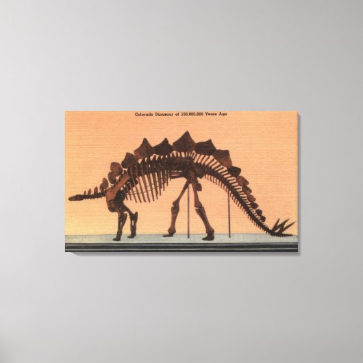 Denver, Colorado - Museum of Natural History Canvas Afdruk (Voorkant)
