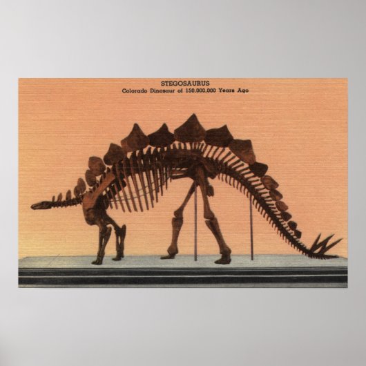 Denver, Colorado - Museum of Natural History Poster (Voorkant)