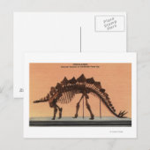 Denver, Colorado - Museum voor Natuurgeschiedenis  Briefkaart (Voorkant / Achterkant)